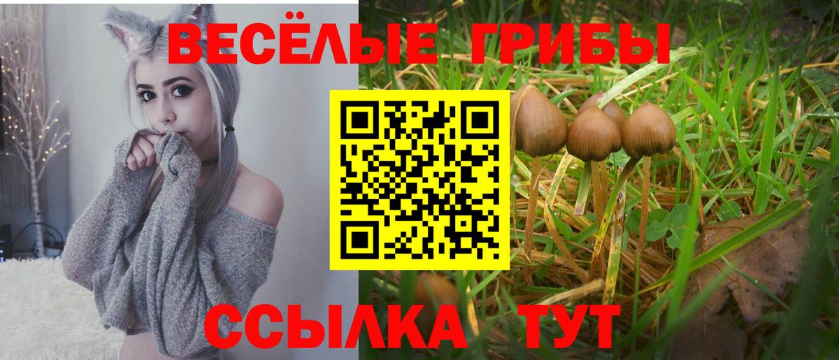 Галлюциногенные грибы ЛСД Ачинск